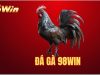 Đá Gà 98Win – Lựa chọn hàng đầu cho các sư kê lâu năm