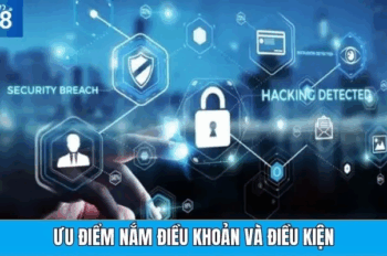 Chính Sách RR88 – Cam Kết Minh Bạch Và Quyền Lợi Tối Đa Cho Người Chơi