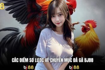 Đá gà bj88 – Sân chơi đá gà trực tuyến an toàn tuyệt đối