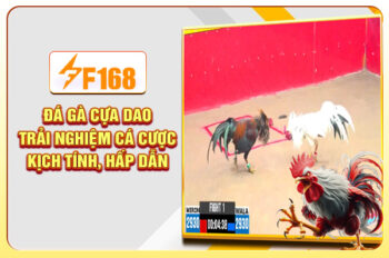 Đá Gà Cựa Dao – Trải Nghiệm Cá Cược Kịch Tính, Hấp Dẫn