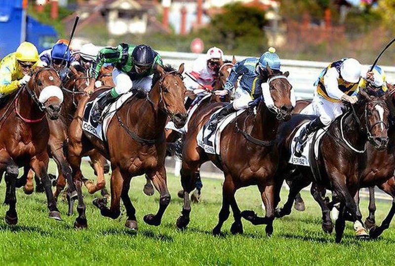 Hướng Dẫn Tham Gia Cược Đua Ngựa tại Win456