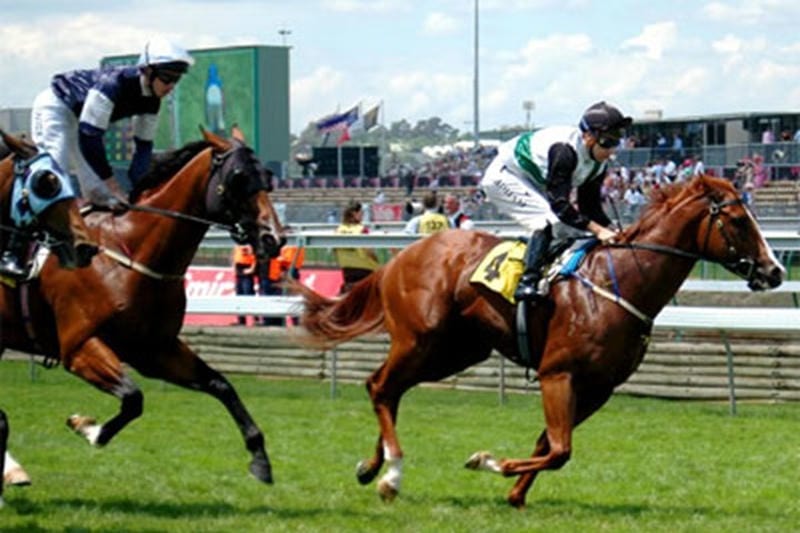 Lợi Ích Khi Tham Gia Cược Đua Ngựa tại Win456