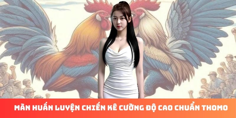 Đăng nhập 69VN để xem đá gà Thomo trực tiếp