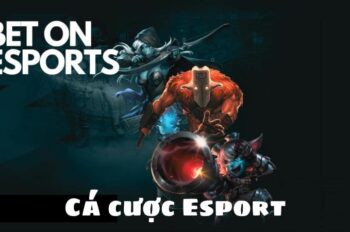Cá cược Esport VT88 – Trải nghiệm đỉnh cao cùng các giải đấu hot